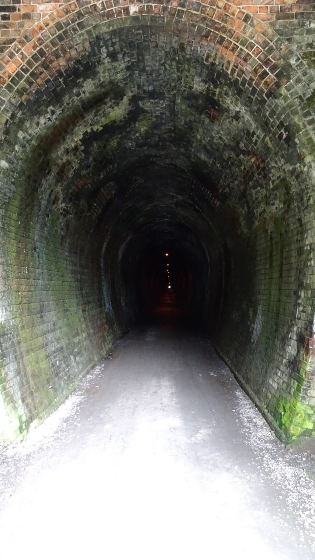 E404F95D-BDCD-457A-B273-2D5841D42D2E