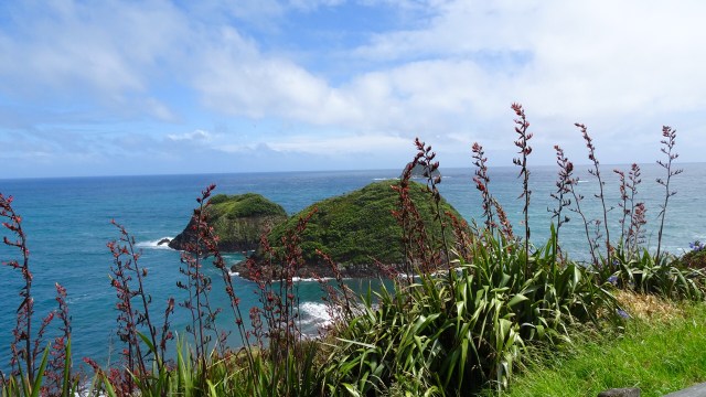 E74DEF8A-CC38-4DFD-97C1-AA829F0BBE3A