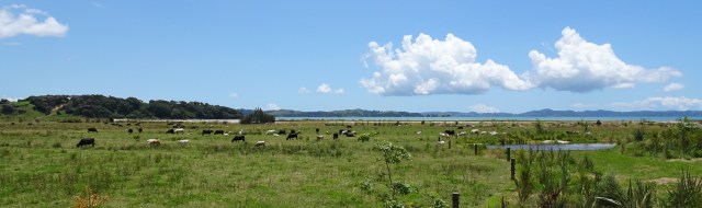 EE63853B-7663-4454-990D-4BADE0CCD02D