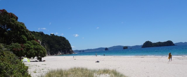 EF3C4B54-CB9E-46CC-8ACA-2738D5C2A375