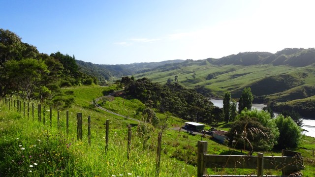 F0C91412-6B06-41DD-8DDF-2F02CE3B4F4A