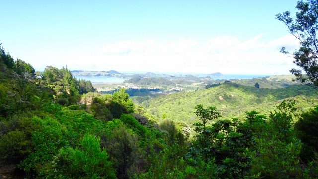 F1819D01-D0D9-4419-A150-03B47B69CC7F