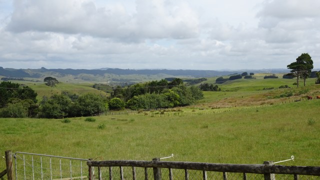 F3EB139A-FD25-4E7B-8905-E52DBBC9A8CF