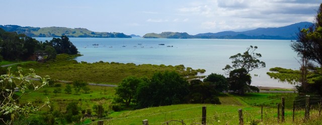 F874BFCA-8284-4D20-8C4E-ABDB46D009B6