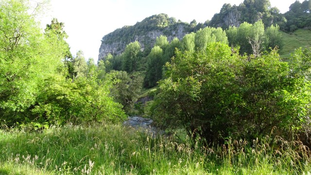 FC1878B4-6CD4-4C0D-9FC1-6058E59462E6