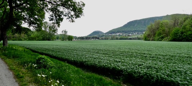 0A17B323-985D-4997-B779-0A535CB9C759