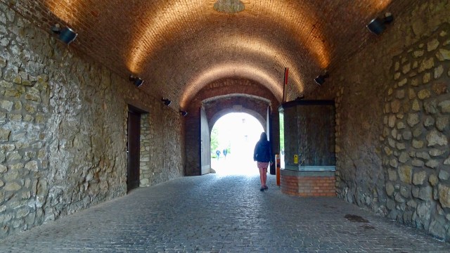 12160B09-BFC9-49C3-A6D5-4D03542AFF25