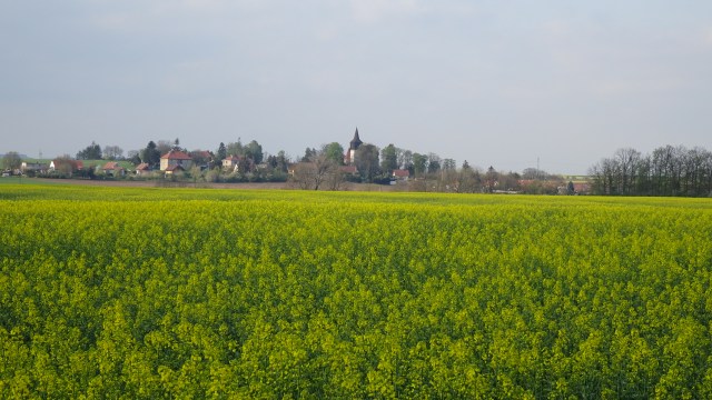 2377106F-88FF-42B7-B283-56706859F9EF