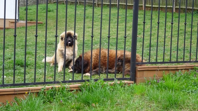 26EE8940-88DE-4E92-A705-444AC9AFBD73