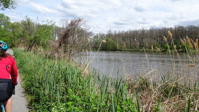 2B20B109-4B39-433C-B5F1-EF56E76C47CE