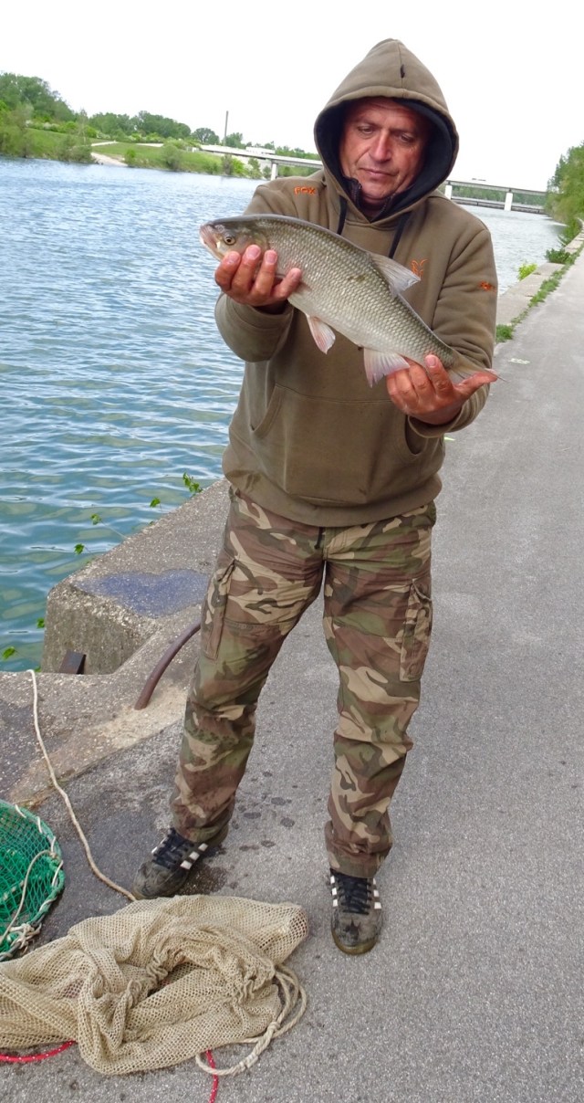 2F456E04-4459-497B-BA68-8E2929DEC274