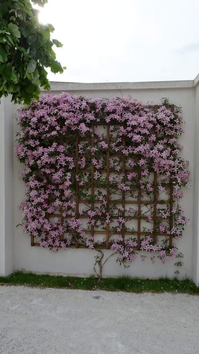 2F7DC5CB-CE61-4757-AADB-50CC6672ADAF