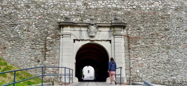 377B072C-F0A9-4095-BDD5-D87A648ADD8C