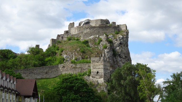 3931341B-1B62-4802-9D54-7126104E513E