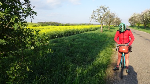 3C6FE671-B019-4BAA-AA86-36E6AAE10433