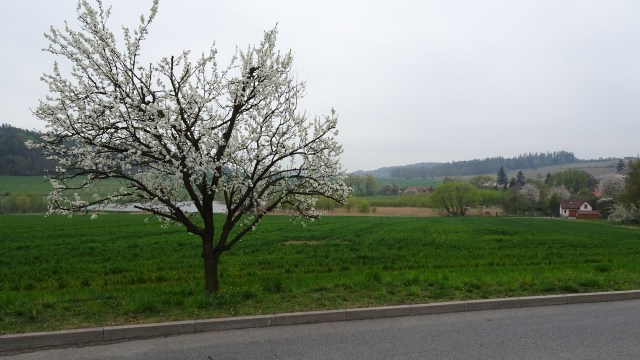 4CE1A0F5-9386-4F7C-9C05-07E25BEC1B76