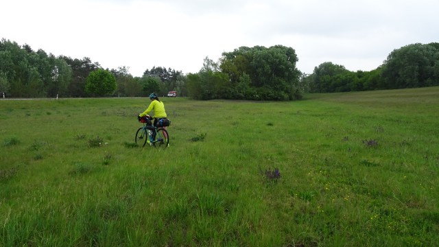 4D1F6A07-773A-45E2-8354-98011F8E8872