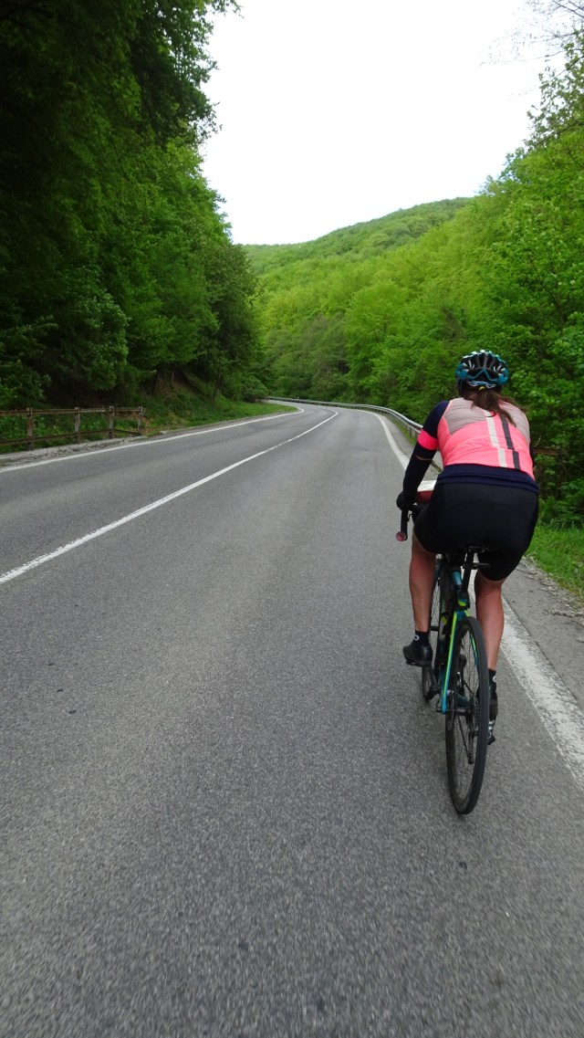 669A4BEB-5021-41B2-A141-DF8E39982F3F