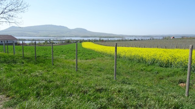 6F00E373-FF7C-4B40-B96D-744BE17681B1