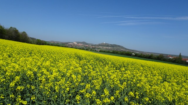 76E64F82-795C-4B2B-9C80-2FCB0443E544