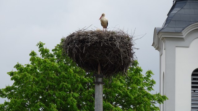 7E54F293-78CA-41BC-BF3E-650D7E3E3827