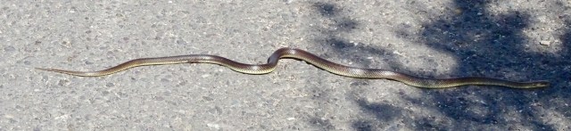 82B36DFE-5DED-484B-8BC1-27ECB694B45C