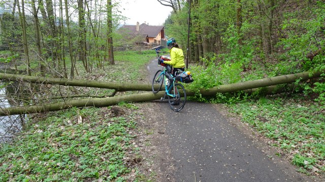 8D0FB974-1A16-4C3F-BFEA-9548F42E512D