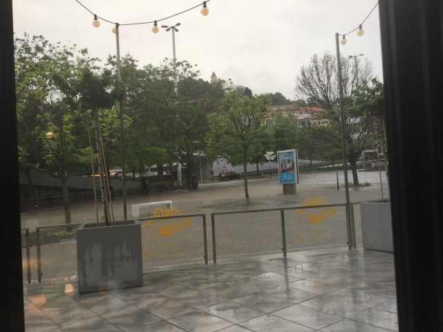 97EDAD70-B747-436F-A18C-7E05FDC19F97