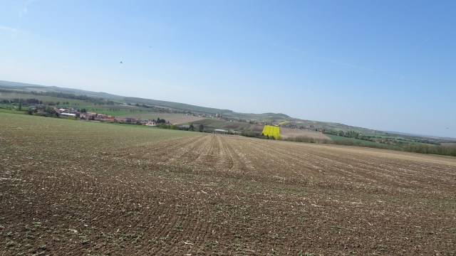 A46350DB-FD8C-4CB1-B5CC-EFBCD7D43BC2