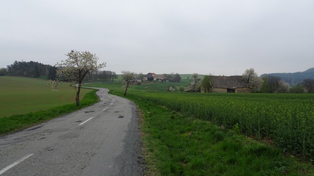 B55B315C-32AB-47B5-8E6B-262255574217