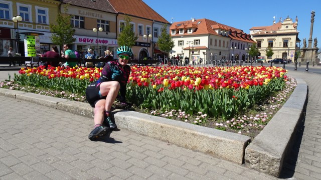 D79F3C5F-20C6-49AC-81E7-C9A677D994B7