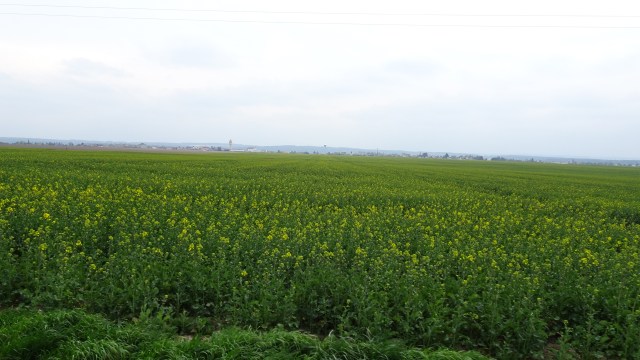 D940DDC4-0478-4AF2-97FD-1FE7D828ED62