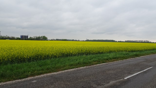 E5018B71-B9B8-4894-8889-8CF815F428AE