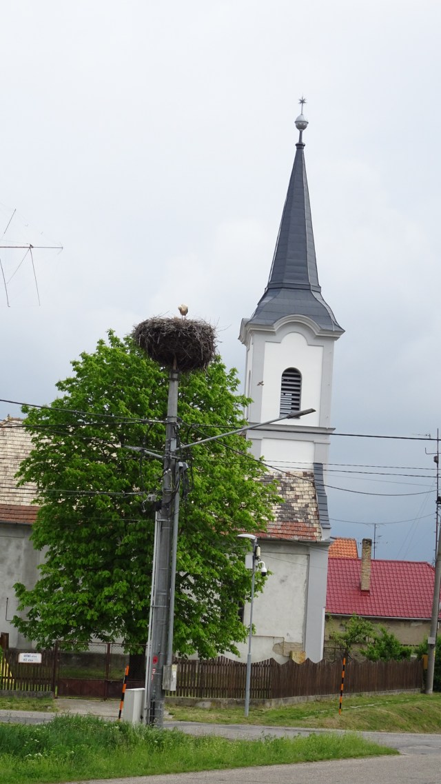 E9DA4ECF-9BBF-4BC8-B308-8D0B9EBBDC06