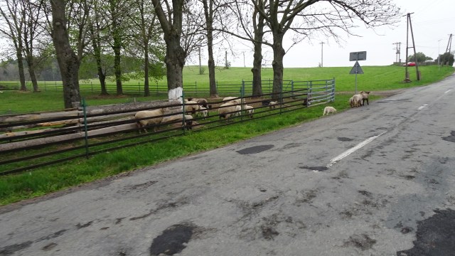 FD4E39C1-A611-4F63-B333-ED1B4599AB4C