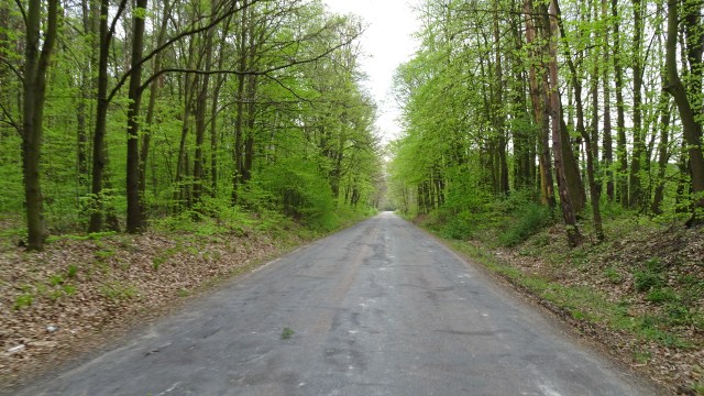 FFA02FF1-C307-4BCD-A29B-4BF7F741B7FB