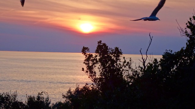 00D64AD4-6990-4887-ABF2-8680D23E856F