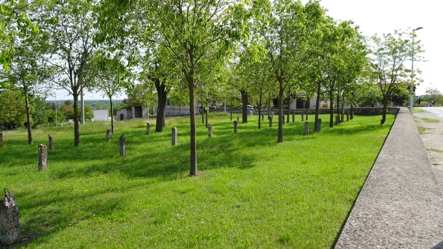 023EAE7A-56E3-49C8-A689-A2E2CE9EDEAA