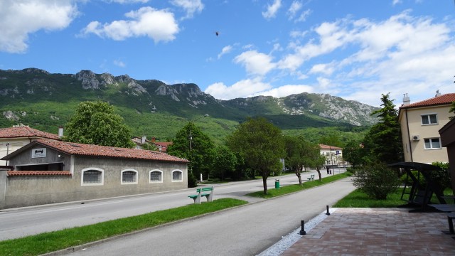 0332FC5E-CE94-456D-8EB9-05E6FE1BEB6E