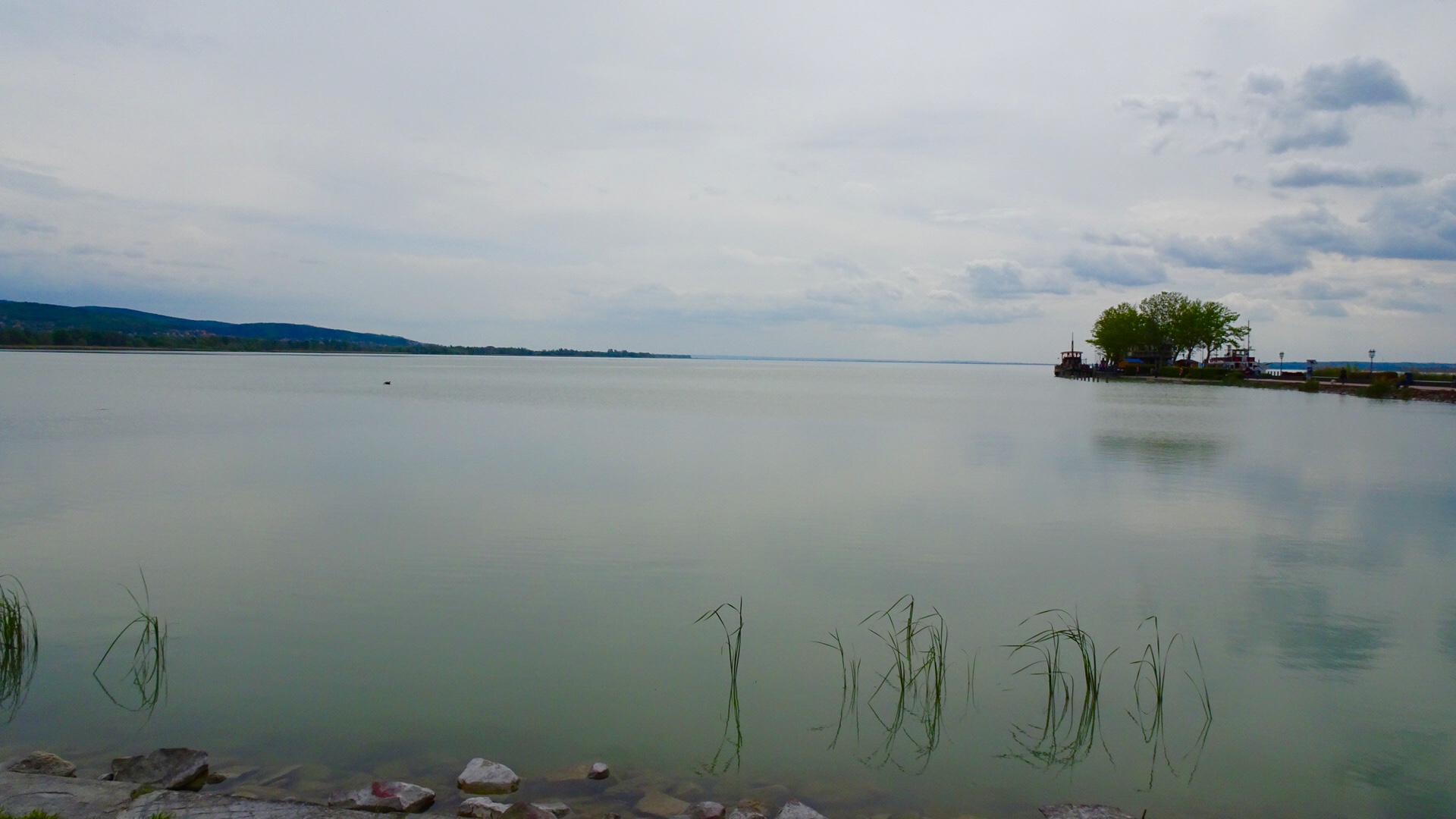 0A0159F0-F347-482A-9870-6AEC3F13F2E4