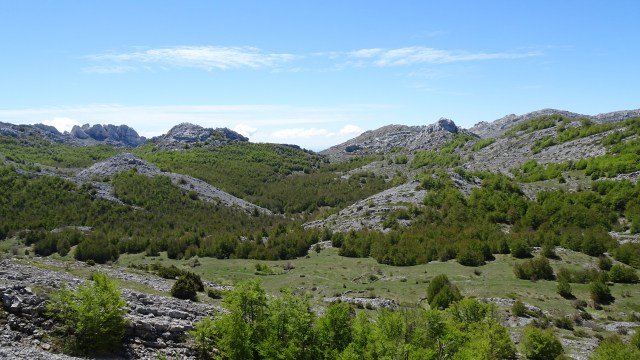 0DCE9129-A9CC-4EF0-9E2C-C2FF362F1E5D