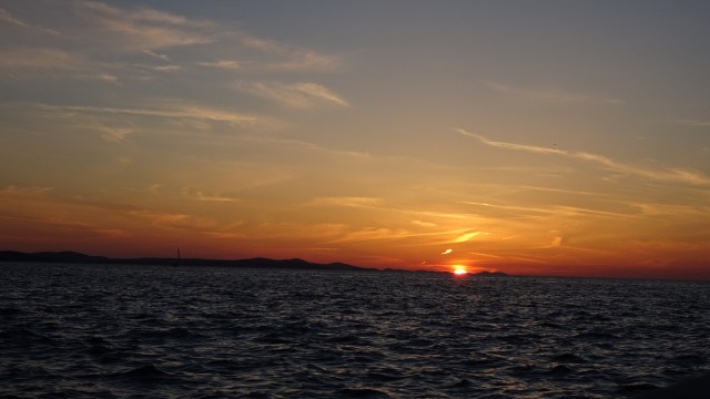 0E111E62-E249-4338-847D-088D1D1CD7BC