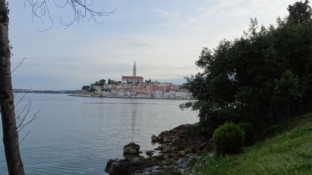 0F45440B-0D74-44E9-A5FA-7921EAFC896F