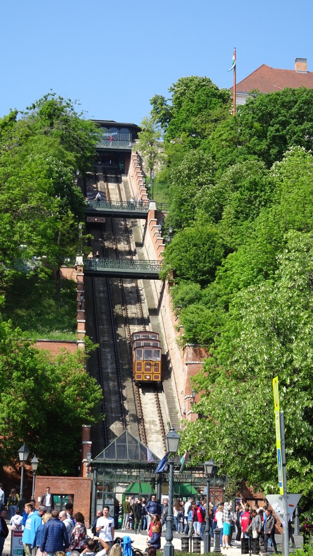 10CCDA35-D1C5-4247-AE0C-8D6C1ABAF260