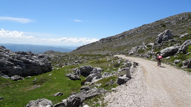 15A36B73-009A-49E1-A6EA-9FEB747FFCDD