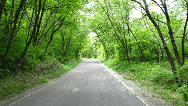 16B894F6-7BC4-4083-83A8-A7153DE5158C