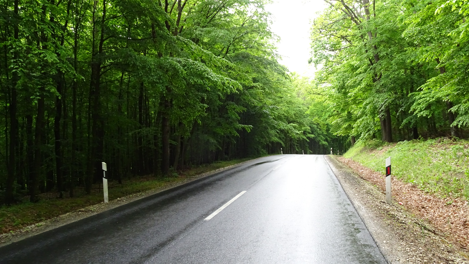 16D5E770-7B1F-405B-B52E-31A0BBB8F564