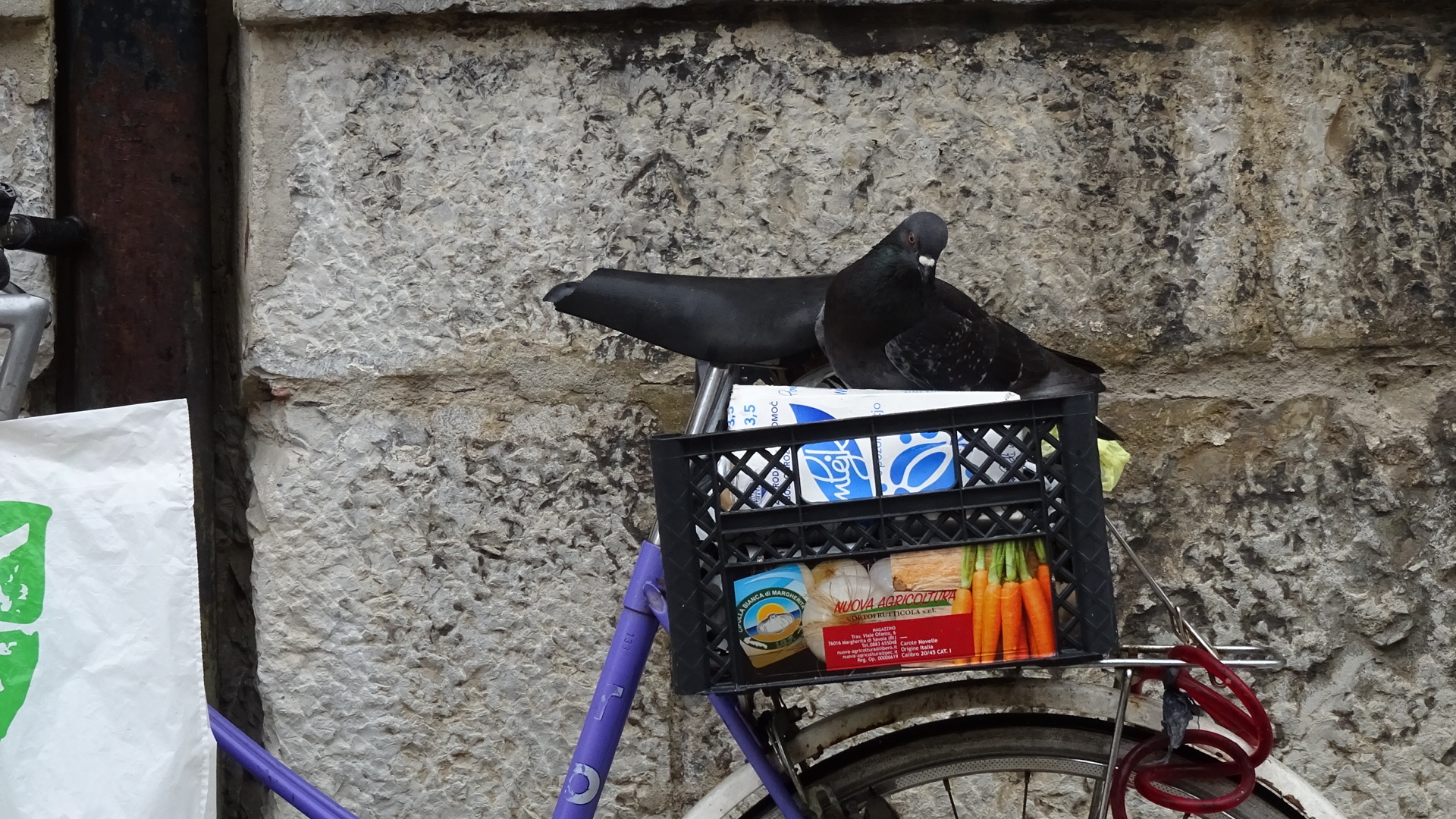 18969365-328E-4E6E-8E65-5B021B46BB60