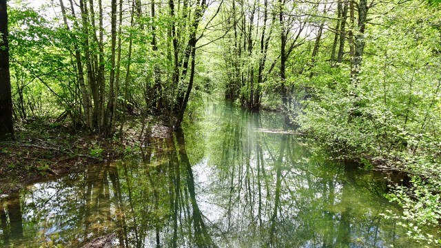 1D6EE619-54C4-4686-B20A-881E34C46EA1