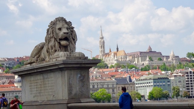 1DDDFA56-4360-4F8A-9579-D290D1F14813